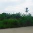  Land for sale in Phla, Ban Chang, Phla
