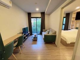 1 Schlafzimmer Appartement zu vermieten im The BASE Sukhumvit 50, Phra Khanong