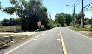 N/A Land for sale in Nam Song, Nakhon Sawan 