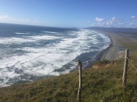  Grundstück zu verkaufen in Chiloe, Los Lagos, Chonchi