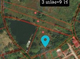  Land for sale in San Pa Tong, Chiang Mai, Yu Wa, San Pa Tong