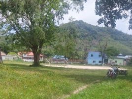  Land for sale in Phuket, Rawai, Phuket Town, Phuket