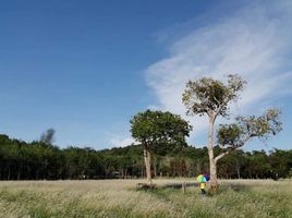 在奈扬海滩, Sakhu出售的 土地, Sakhu