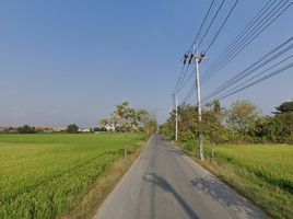 ขายที่ดิน ใน หนองจอก กรุงเทพมหานคร, ลำต้อยติ่ง, หนองจอก, กรุงเทพมหานคร