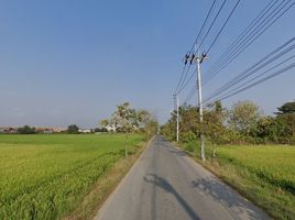  Land for sale in Lam Toiting, Nong Chok, Lam Toiting