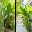 4 Bedroom House for sale at Setthasiri Chaengwattana-Prachachuen, Ban Mai, Pak Kret