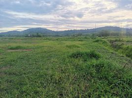  Land for sale in Du Tai, Mueang Nan, Du Tai