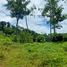  Land for sale in Laguna, Choeng Thale, Choeng Thale