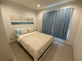 1 Bedroom Condo for rent at Life Sukhumvit 62, Bang Chak, Phra Khanong, Bangkok