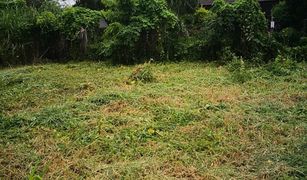 N/A Land for sale in San Klang, Chiang Mai 