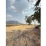  Land for sale in Kanchanaburi, Wang Dong, Mueang Kanchanaburi, Kanchanaburi