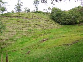  Grundstück zu verkaufen in Marulanda, Caldas, Marulanda