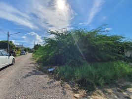  Grundstück zu verkaufen in Hua Hin, Prachuap Khiri Khan, Nong Kae