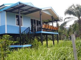  Grundstück zu verkaufen in Khanom, Nakhon Si Thammarat, Khanom