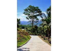 3 Bedroom House for sale in Aguirre, Puntarenas, Aguirre