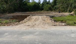 N/A Land for sale in Makrut, Pattani 