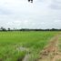  Land for sale in Songtham, Mueang Kamphaeng Phet, Songtham