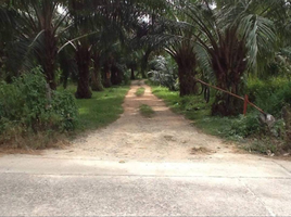  Grundstück zu verkaufen in Thai Mueang, Phangnga, Na Toei, Thai Mueang