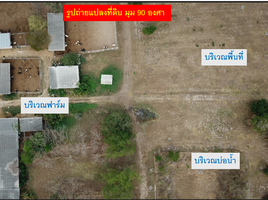  Land for sale in Pak Chong, Nakhon Ratchasima, Nong Sarai, Pak Chong