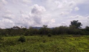 Muak Lek, Saraburi တွင် N/A မြေ ရောင်းရန်အတွက်