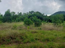  Land for sale in Phuket International Airport, Mai Khao, Mai Khao