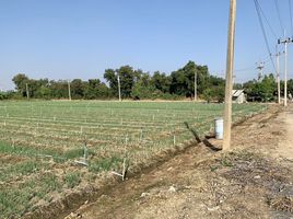  Grundstück zu verkaufen in Tha Muang, Kanchanaburi, Wang Sala, Tha Muang