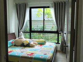 1 Schlafzimmer Wohnung zu vermieten im The Revo Ladprao 48, Sam Sen Nok, Huai Khwang, Bangkok