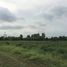  Land for sale in Nong Ki, Kabin Buri, Nong Ki
