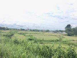  Grundstück zu verkaufen in Mueang Nan, Nan, Du Tai, Mueang Nan