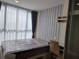1 Bedroom Apartment for rent at Atmoz Tropicana Bangna, Bang Na