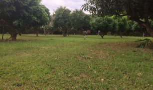 N/A Land for sale in Nong Chom, Chiang Mai 