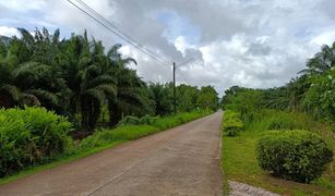 N/A Grundstück zu verkaufen in Khamong, Chanthaburi 