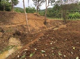  Grundstück zu verkaufen in Hang Dong, Chiang Mai, Nam Phrae