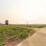  Grundstück zu verkaufen in Mueang Kamphaeng Phet, Kamphaeng Phet, Thep Nakhon, Mueang Kamphaeng Phet, Kamphaeng Phet