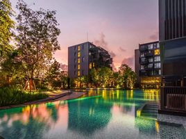 1 Bedroom Apartment for rent at The Deck Patong, Patong, Kathu