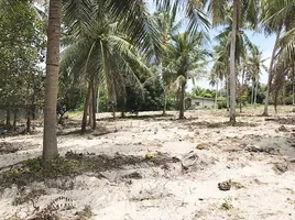  Grundstück zu verkaufen in Mueang Prachuap Khiri Khan, Prachuap Khiri Khan, Huai Sai, Mueang Prachuap Khiri Khan