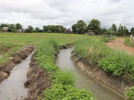 ขายที่ดิน ใน ปัว น่าน, ปัว, ปัว, น่าน