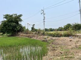  Grundstück zu verkaufen in Ban Pong, Ratchaburi, Nong Pla Mo