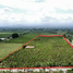 Land for sale in Moca Espaillat, Moca, Espaillat, Dominican Republic