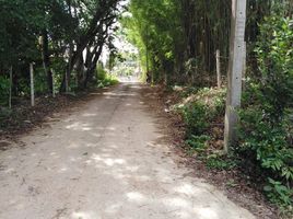  Land for sale in Chiang Mai, Chang Phueak, Mueang Chiang Mai, Chiang Mai