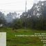  Land for sale in Tha Chang, Surat Thani, Khlong Sai, Tha Chang