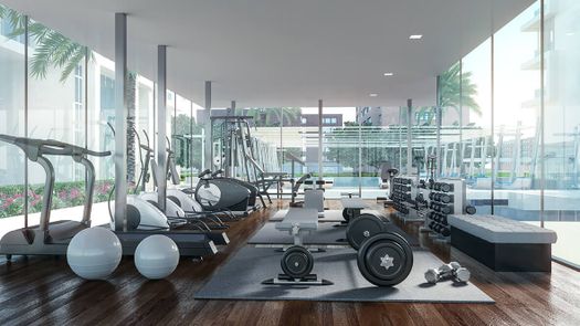 图片 1 of the Communal Gym at Oasis 1