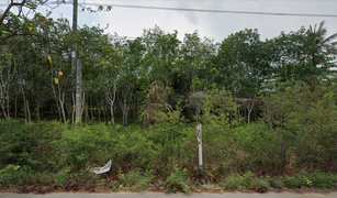 N/A Grundstück zu verkaufen in Thung Khwai Kin, Rayong 