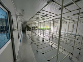  Warenhaus zu vermieten in O Ngoen, Bangkok, O Ngoen, Sai Mai
