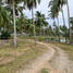  Land for sale in Nakhon Si Thammarat, Sao Phao, Sichon, Nakhon Si Thammarat