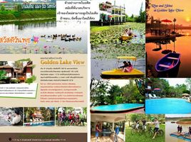 15 Schlafzimmer Hotel / Resort zu verkaufen in Tha Muang, Kanchanaburi, Rang Sali, Tha Muang