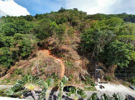  Land for sale in Big Buddha, Karon, Karon