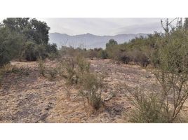  Land for sale at Colina, Colina, Chacabuco