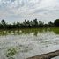  Grundstück zu verkaufen in Mueang Chachoengsao, Chachoengsao, Khlong Udom Chonlachon