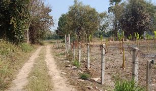 N/A Land for sale in Ban Du, Chiang Rai 